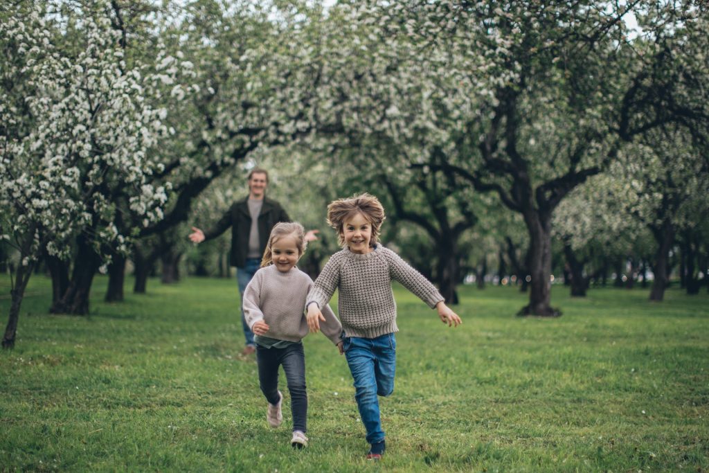 Two children running through a blooming orchard with their father chasing them.